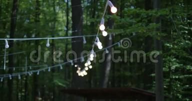 一个带有白色电线的LED灯灯泡串灯，供夏季公园背景下的聚会庭院使用
